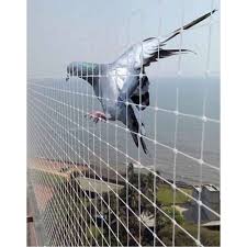 Pigeon Net 7